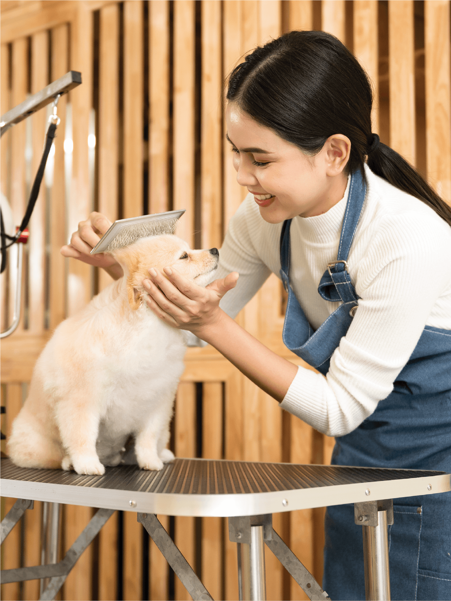 ธุรกิจบริการอาบน้ำตัดขนสัตว์เลี้ยง